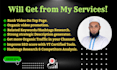 be the best organic youtube video SEO expert