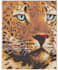 digitizing embroidery specialist into dst,pes,jef, 2 hours