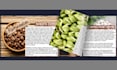 create stunning 3d flipbooks with realistic page turn effect