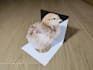 convert 2d image to 3d optical illusion card