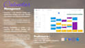optimize your operation and be your virtual assistant expert