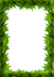 draw professional botanical illustrations