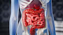 make 3d medical animation
