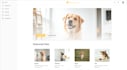 create a heartwarming pet adoption, care website platform