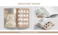 design product catalog, linesheet, sellsheet, and lookbook