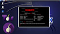do cyber security and pen testing related projects for you