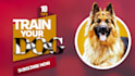 design best quality social media thumbnail with high youtube CTR