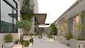landscape, front garden, backyard design