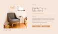 migrate or redesign wordpress website professionally
