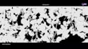 do rotoscoping,vfx,masking,background removal, cleanup
