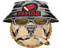 do digitize image for embroidery, embroidery digitizing, logo, dst