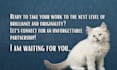 do pet guest post on high da pet guest blogs with dofollow backlinks