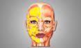 do 2d and 3d medical animation