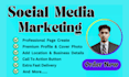 do professional social media accounts create and optimize