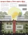 do architectural graphical poster, presentation  board design