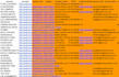 provide data enrichment, data cleaning, and lead enrichment services