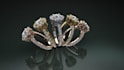 do  jewelry 3d modeling, rendering