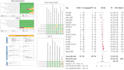 do professional systematic review and meta analysis for medical research