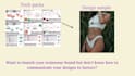 create your bikini , lingerie and swimsuit tech packs