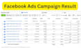be your facebook campaign, fb meta ads, and instagram marketing manager