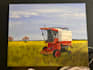 create captivating art to unleash memories