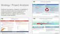 business analysis professional services