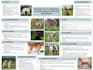 design infographic academic and educational research posters