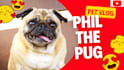 make view boosting youtube thumbnail in 3hrs plus free consultancy to grow fast