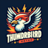 design outstanding thunder bird mascot logo with express deliver