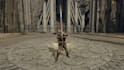 create and mod your model into elden ring