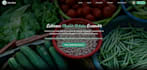 develop a premium business website with modern design