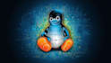 do operating system and linux project and task in c cpp java python
