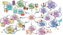 create mind maps and infographics within 24 hours