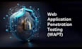 do web application penetration testing