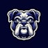 create super mascot cartoon bull dog logo design