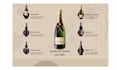 design profitable wine shopify store brewery store liquor store wine website