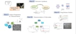 draw chemical structures graphical abstract and scientific illustration