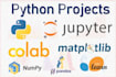 do project with pandas in jupyter notebook and google colab
