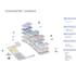 create site analysis, and conceptual diagrams