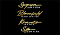 do clean name signature style logo