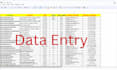 do excel data entry and  targeted b2b lead generation