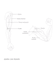 create simplified medical anatomy diagrams