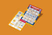design exciting product flyer, catalog, sell sheet, bifold, handbook