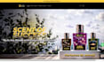 create, design, redesign, edit, customize your shopify store or website