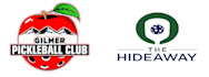 create pickleball logo design within 24 hours