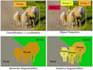 build computer vision, image processing, and opencv projects with python