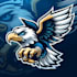 make different flying eagle mascot logo with express delivery