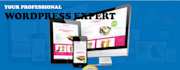 be your wordpress website developer, and ecommerce virtual assistant