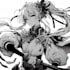 draw a character in manga style