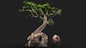 do any 3d character and props for games
